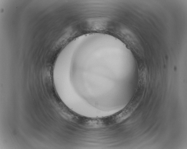 X0000081300415200701251723