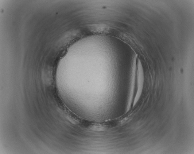 X0000081300416200701251723