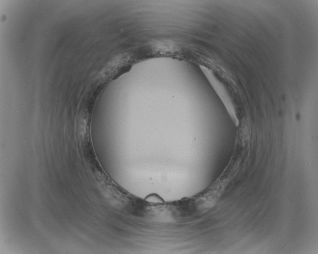 X0000081300417200701251723