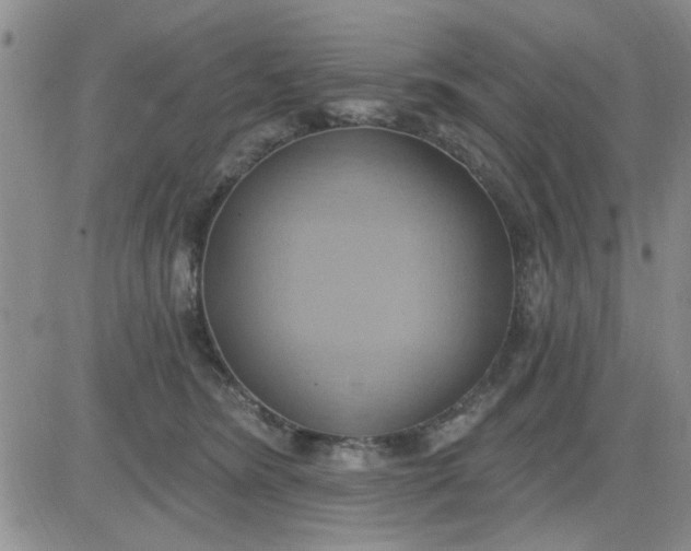 X0000081300420200701251723