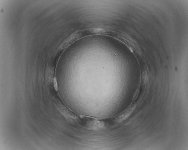 X0000081300421200701251723