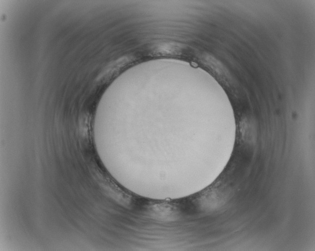 X0000081300423200701251723