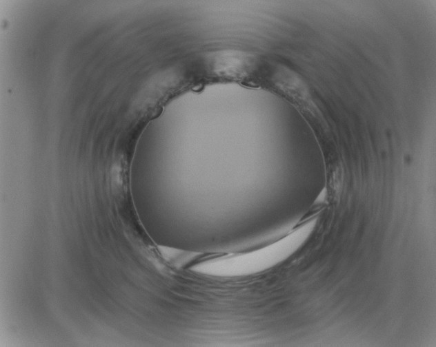 X0000081300424200701251723