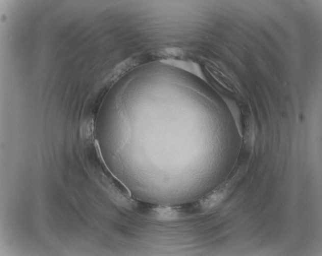 X0000081300425200701251723