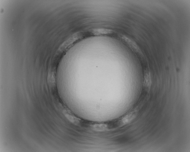 X0000081300426200701251723