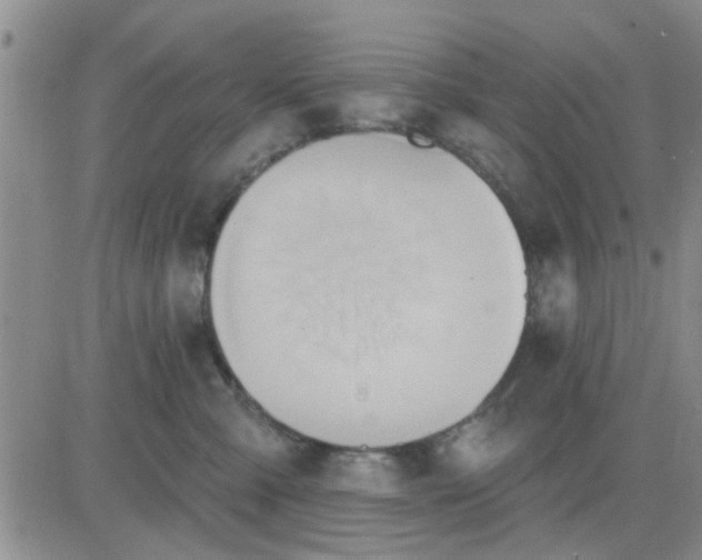 X0000081300427200701251723