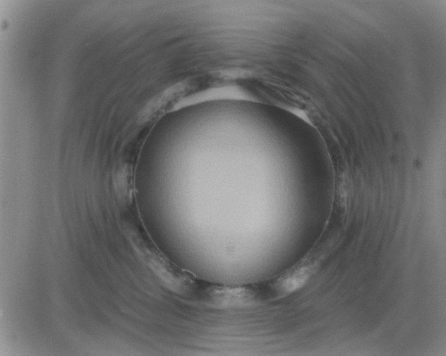 X0000081300428200701251723