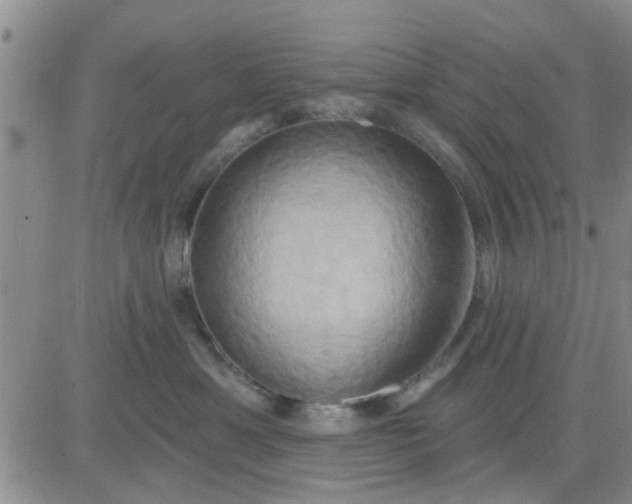 X0000081300429200701251723