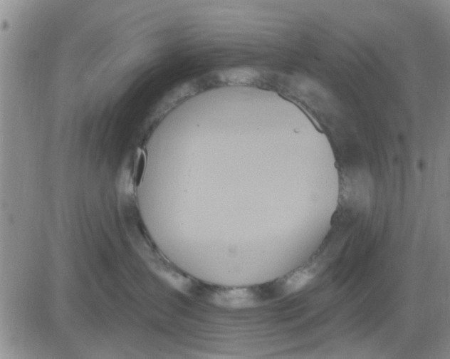 X0000081300431200701251722