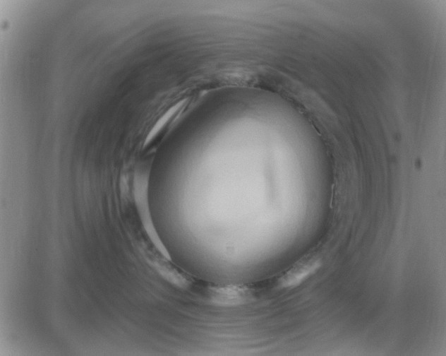 X0000081300432200701251722