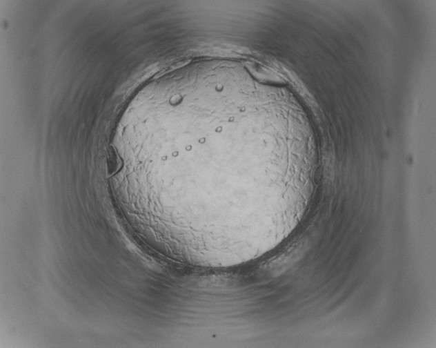 X0000081300433200701251722