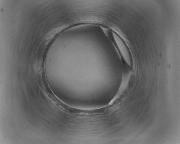 X0000081300434200701251722