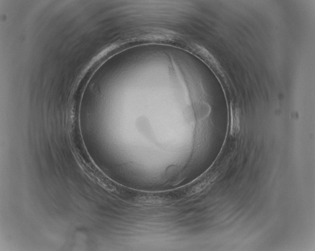 X0000081300435200701251722