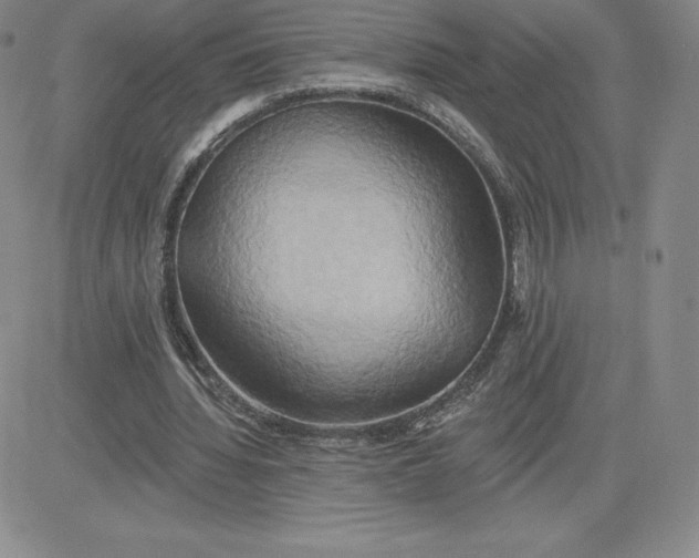 X0000081300436200701251722