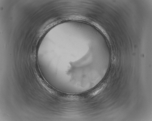 X0000081300437200701251722