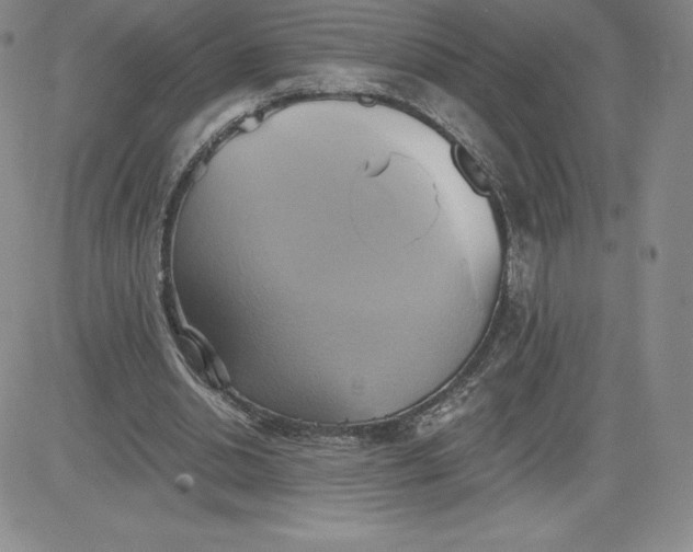 X0000081300438200701251722