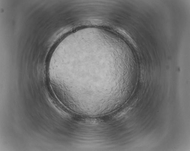 X0000081300439200701251722