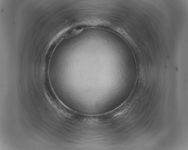 X0000081300440200701251722