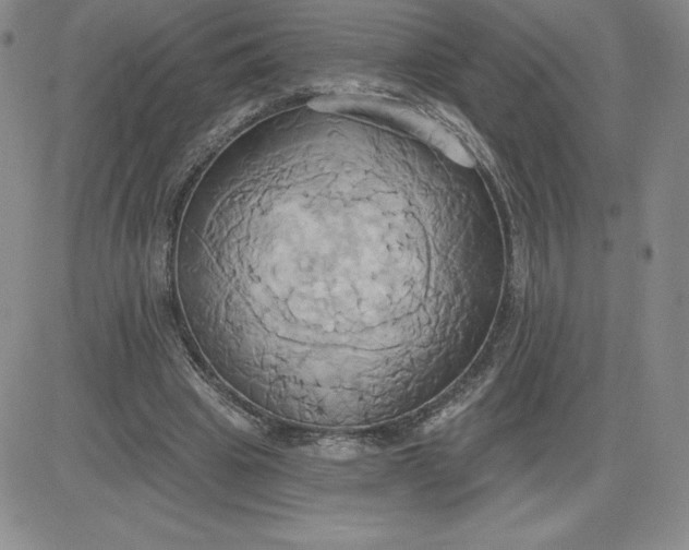 X0000081300441200701251722