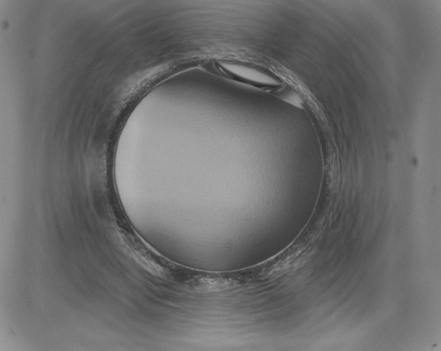 X0000081300442200701251722