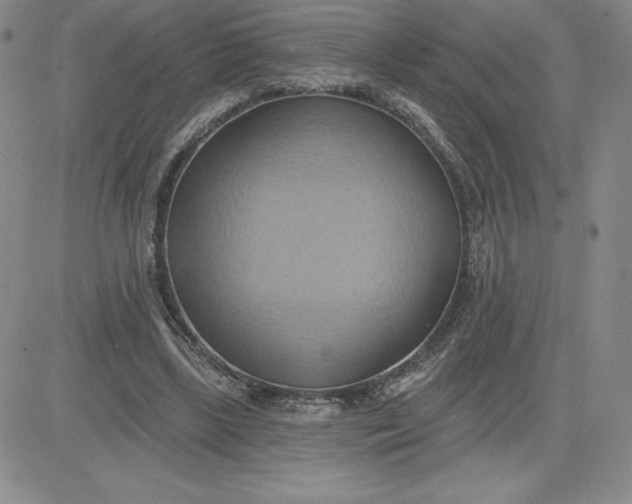 X0000081300443200701251722