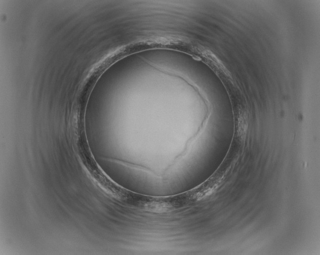 X0000081300444200701251722