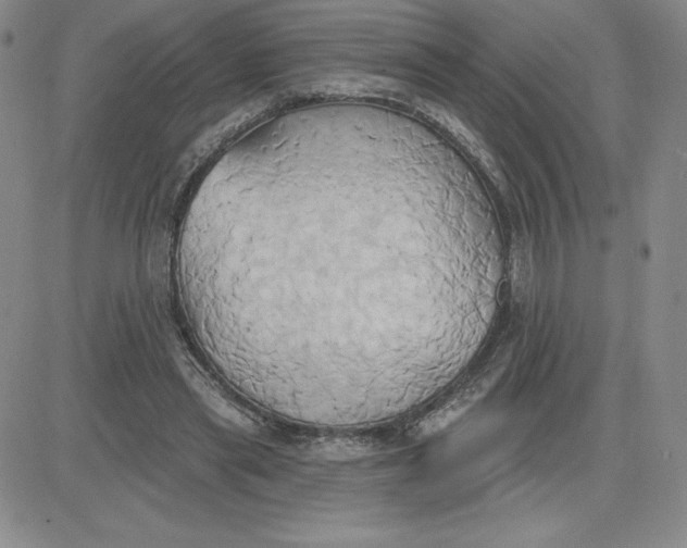 X0000081300445200701251722