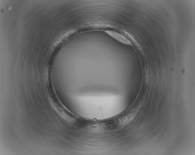 X0000081300447200701251722