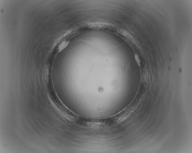 X0000081300448200701251722