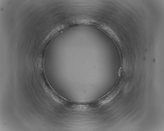 X0000081300449200701251722