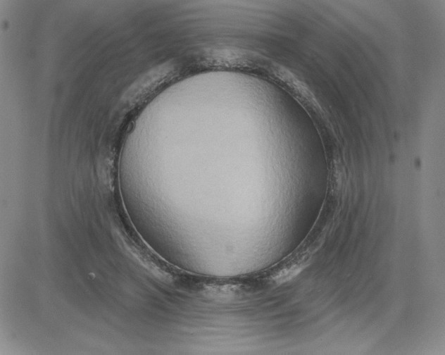 X0000081300450200701251722