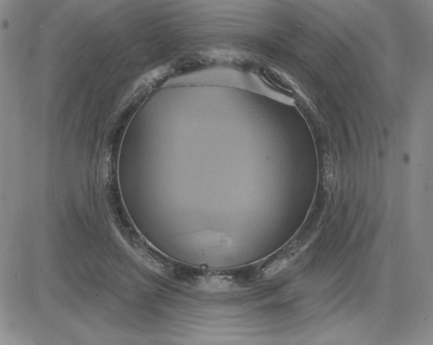 X0000081300451200701251722