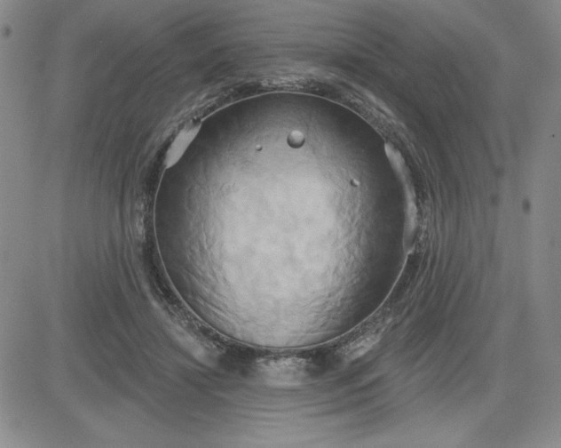 X0000081300452200701251722