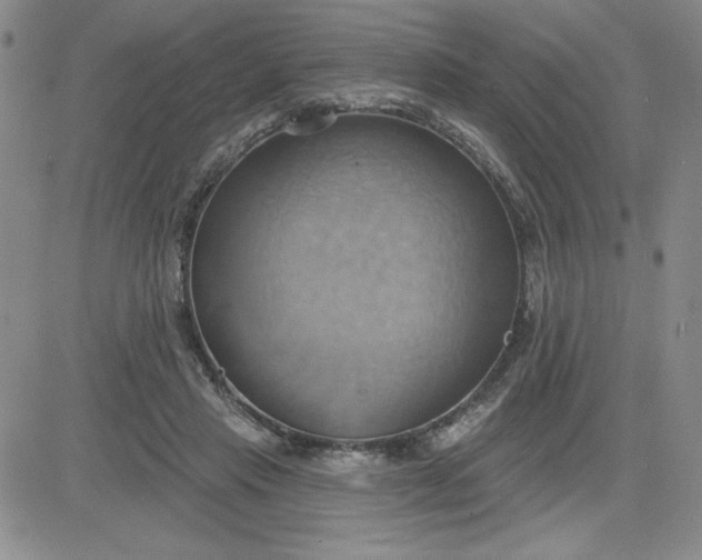 X0000081300453200701251722