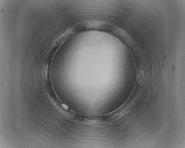 X0000081300454200701251722