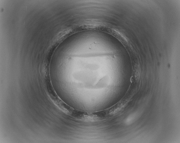 X0000081300455200701251722