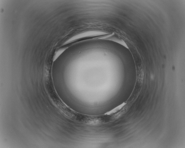 X0000081300456200701251722