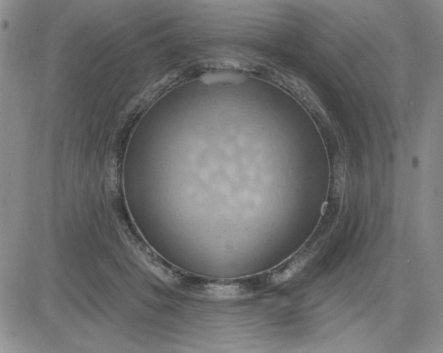 X0000081300457200701251722