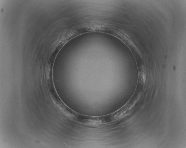 X0000081300458200701251722