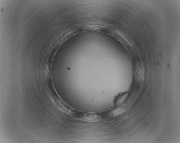 X0000081300459200701251722