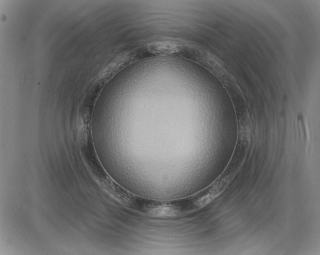 X0000081300460200701251722