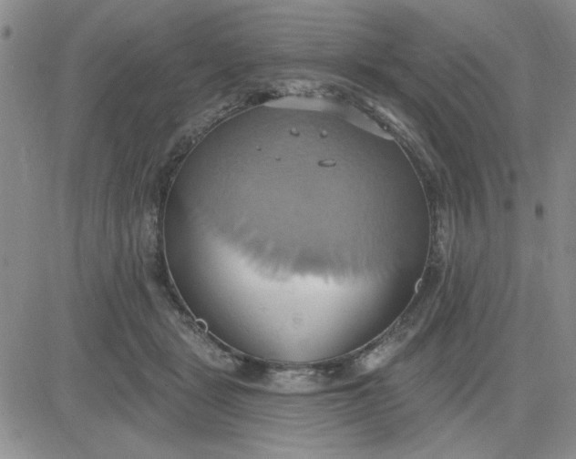 X0000081300461200701251722