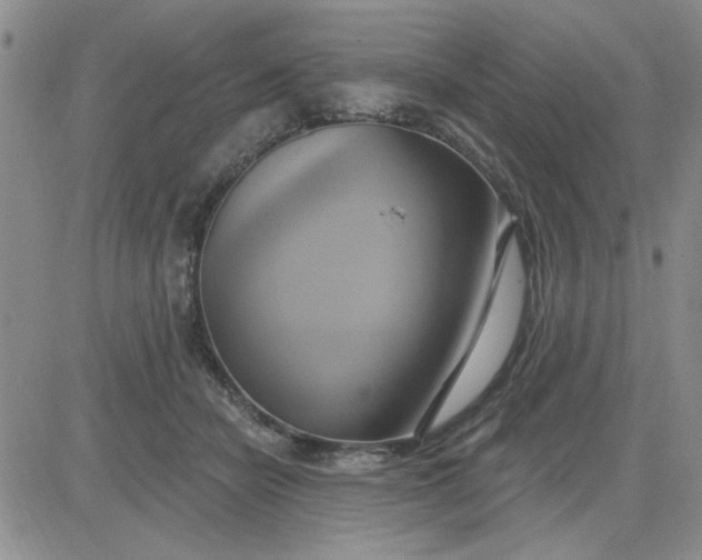 X0000081300462200701251722