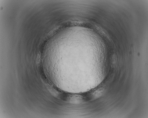 X0000081300463200701251722