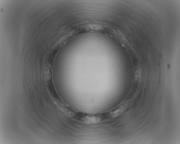 X0000081300464200701251722