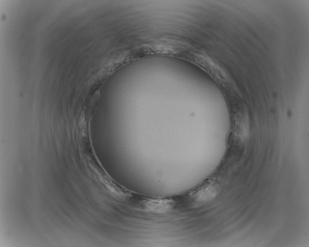 X0000081300465200701251722