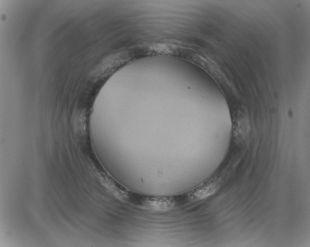 X0000081300466200701251722