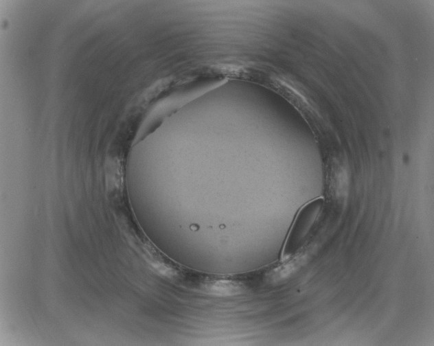 X0000081300467200701251722