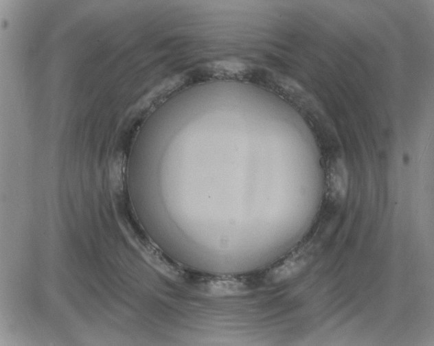 X0000081300468200701251722