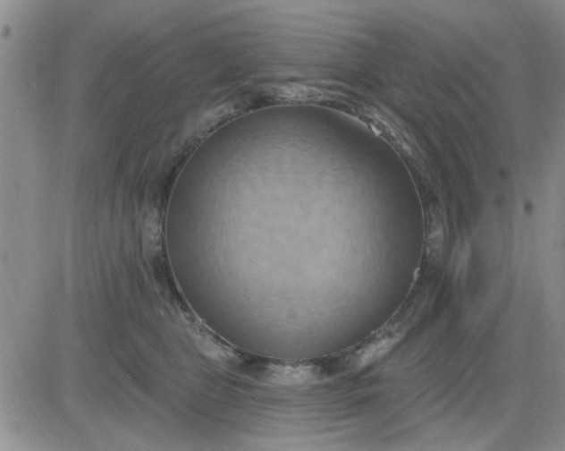 X0000081300469200701251722